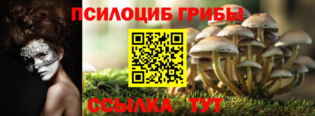 купить наркотики цена  Галлюциногенные грибы Magic Shrooms  Вход с VPN  Мценск 